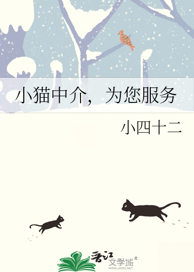 小猫有限公司