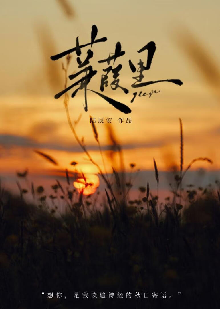 蒹葭言情小说