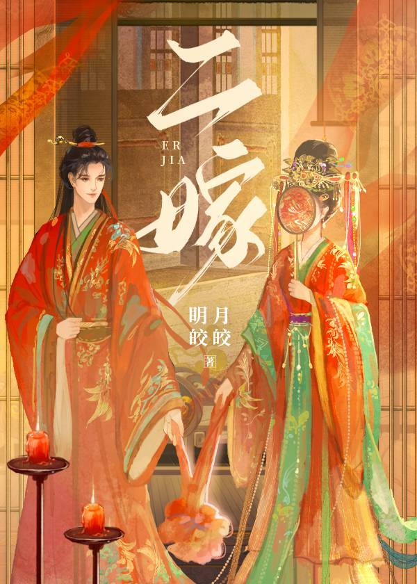二嫁权宦