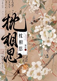 枕相思晋江