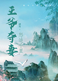 王爷夺位