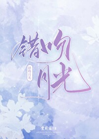 错吻宝书网