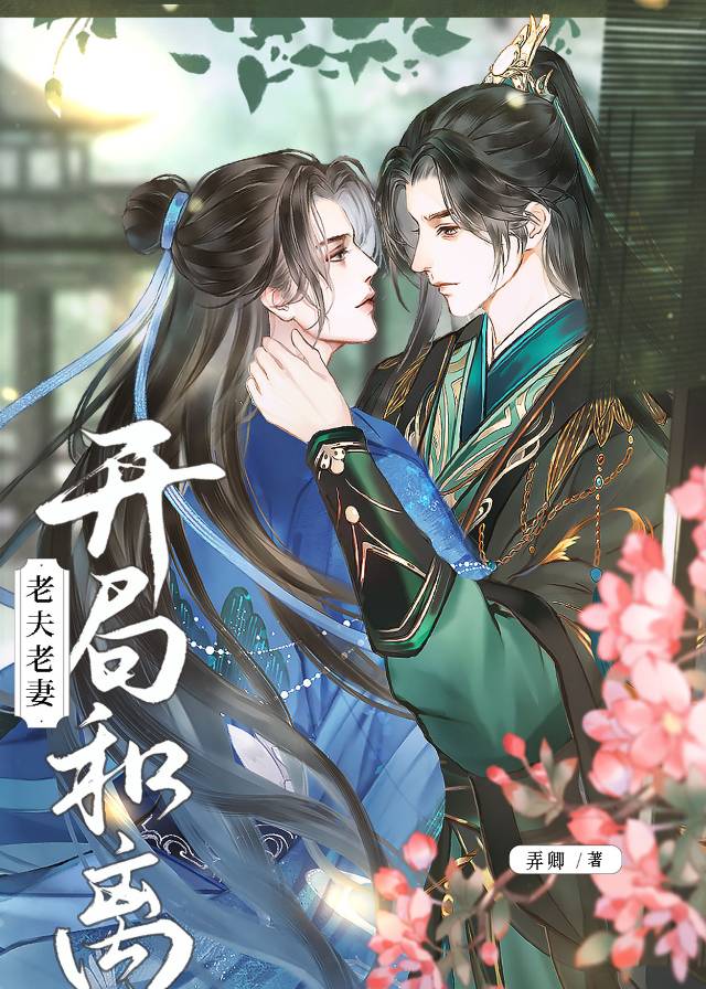 bg老夫老妻的小说