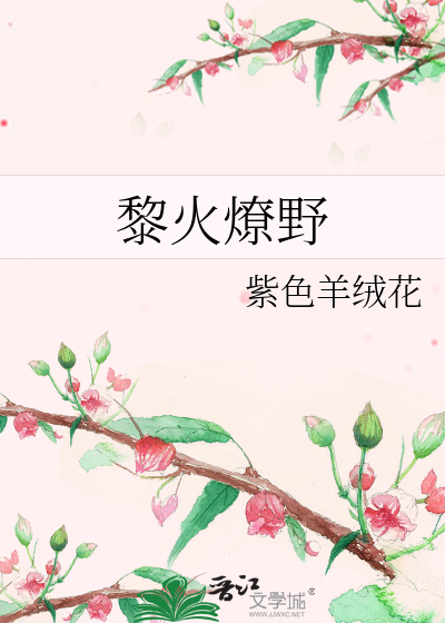 燎火小说完整