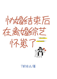 协婚结束后在离婚综艺怀崽了作者了酌衣去