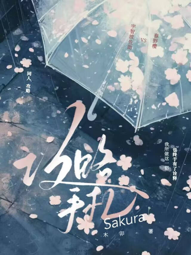 攻略手札小说