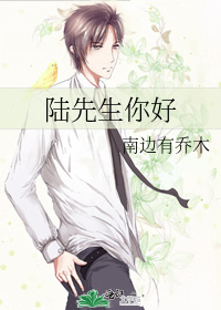 你好陆先生小说全文