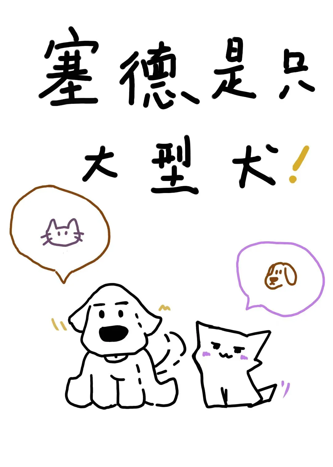 塞德兹简介
