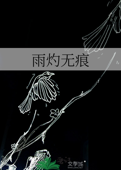 雨无痕雨伞