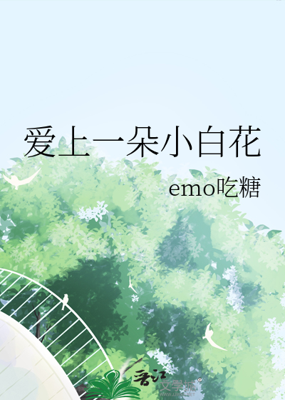 爱上一朵花歌词表达什么情感