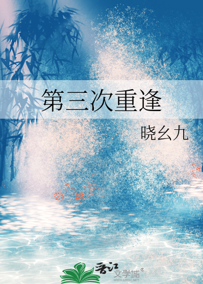 第三次重逢后