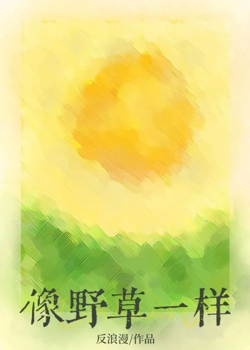 那年夏天全文阅读