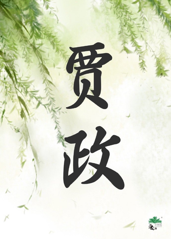 红楼梦中贾政是一个什么样的人