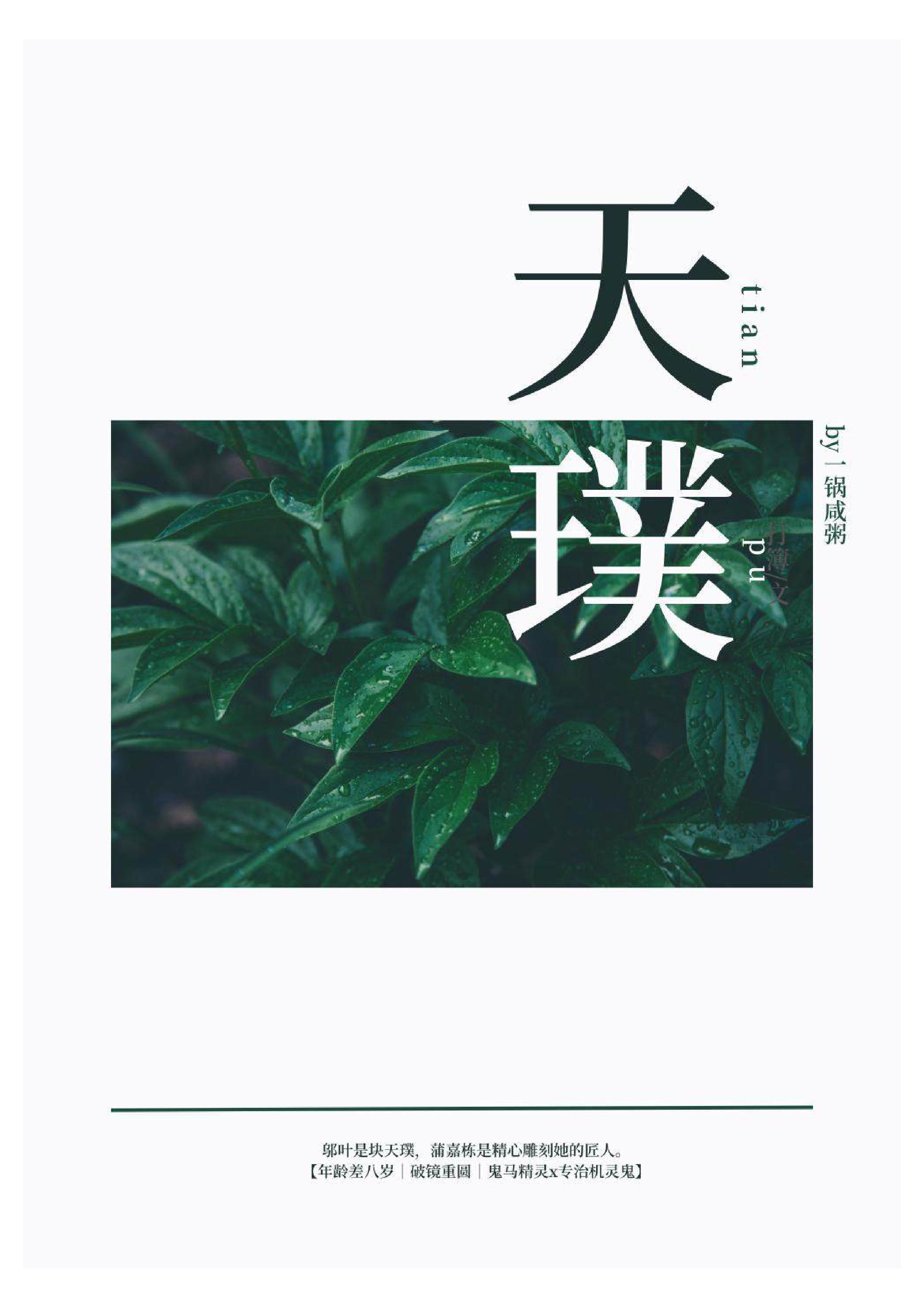 沈阳龙湖天璞
