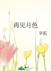 再见月之妹