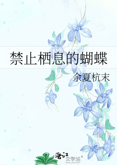 蝴蝶的栖息地点