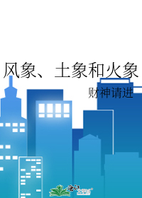 风象土象水象火象星座