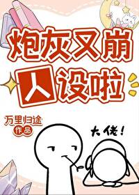 炮灰又又又掉马甲了 小说