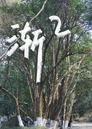 渐渐的近义词