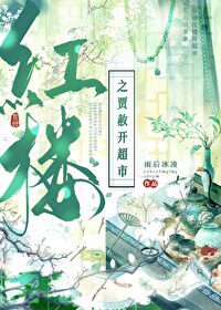 红楼之贾赦妻