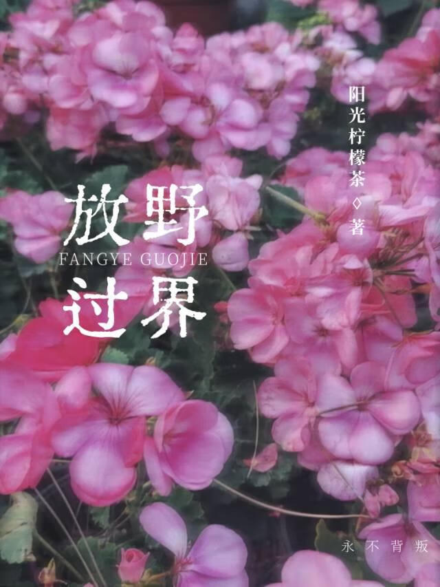 红尘试炼寻宝任务