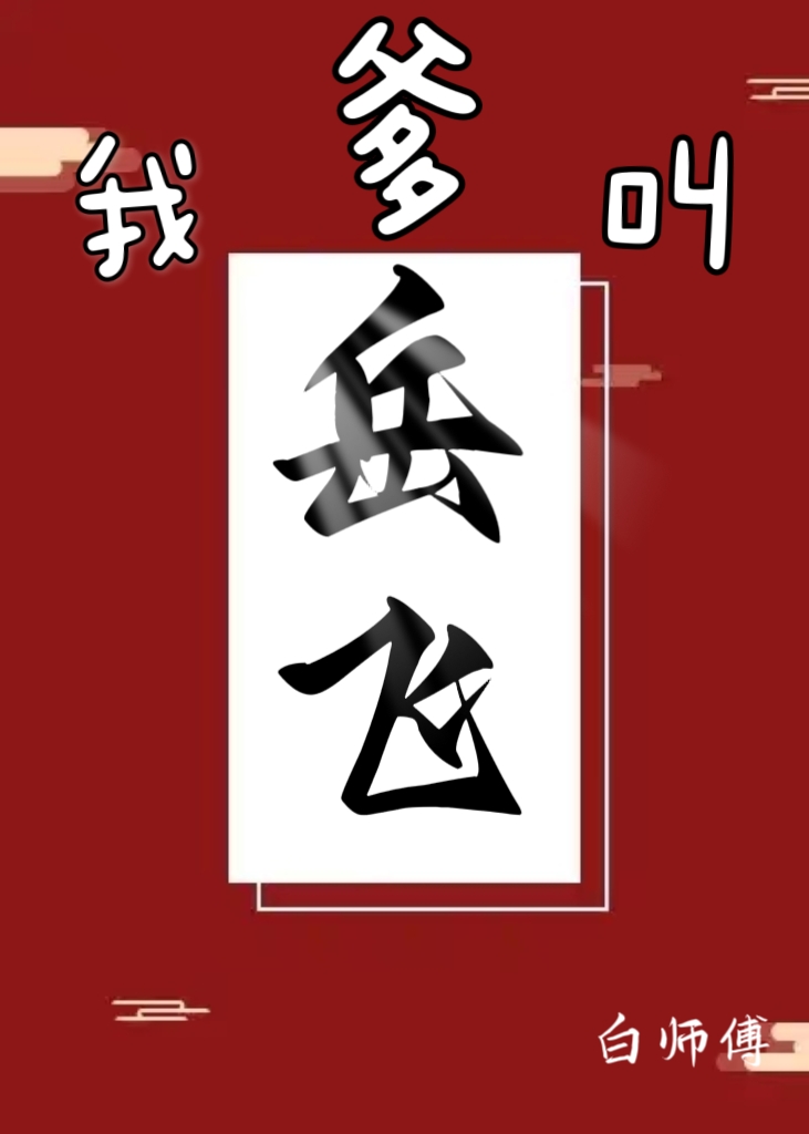 我是岳飞小说