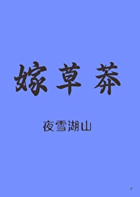恰如天上月夜雪湖山小说免费阅读