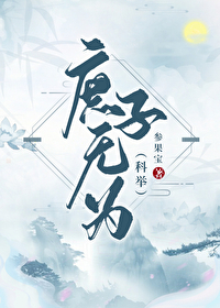 庶子功名路(科举)