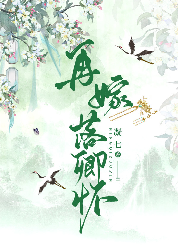 再嫁txt