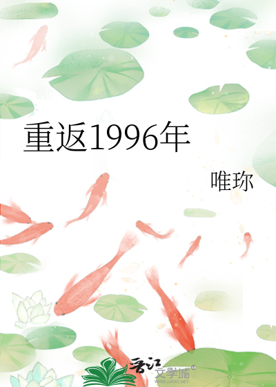 重返1996年小说