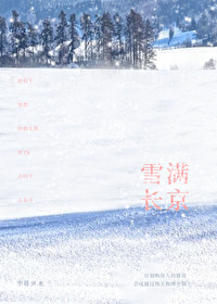 雪满长京TXT下载