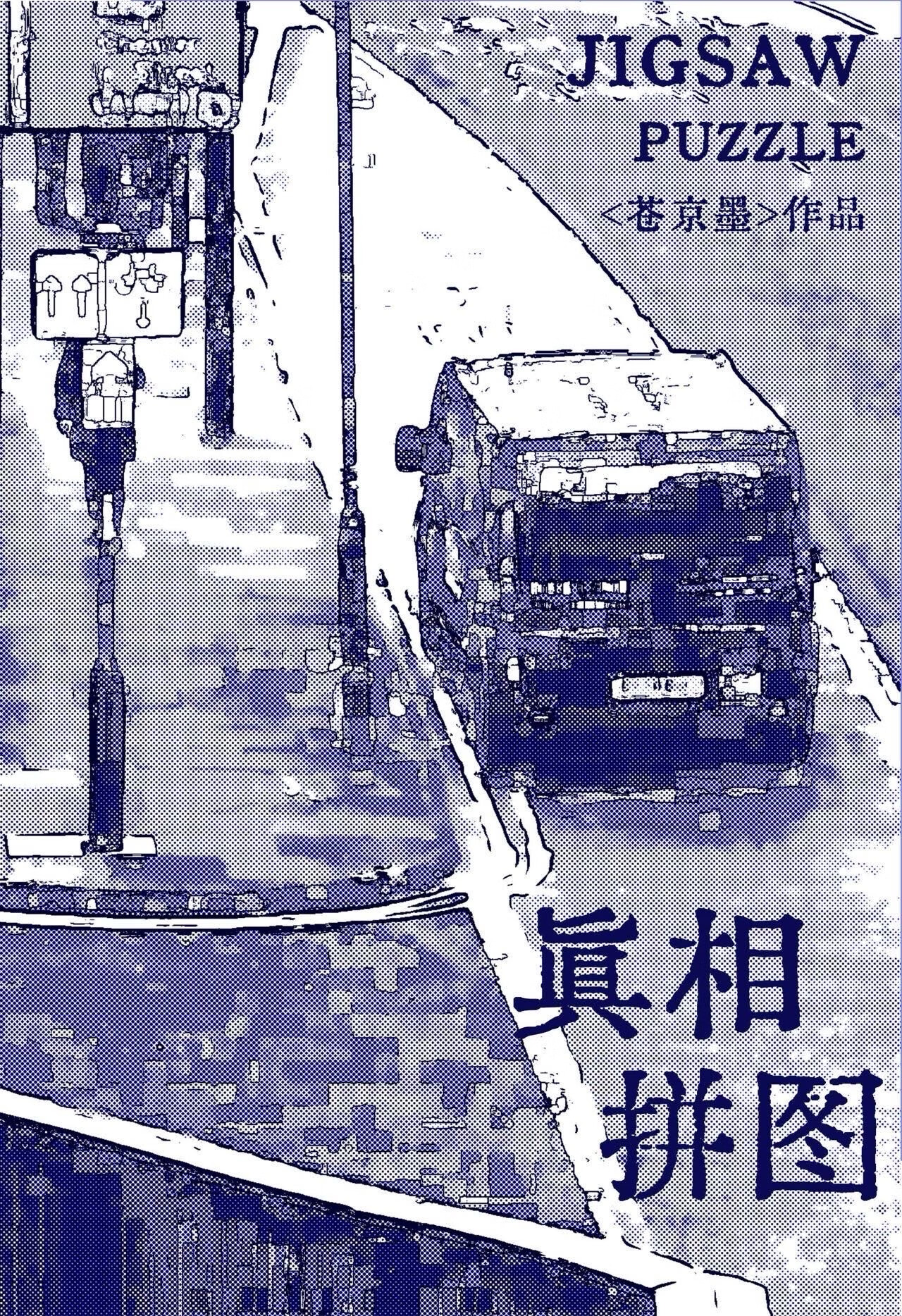 真相拼图 电影在线观看