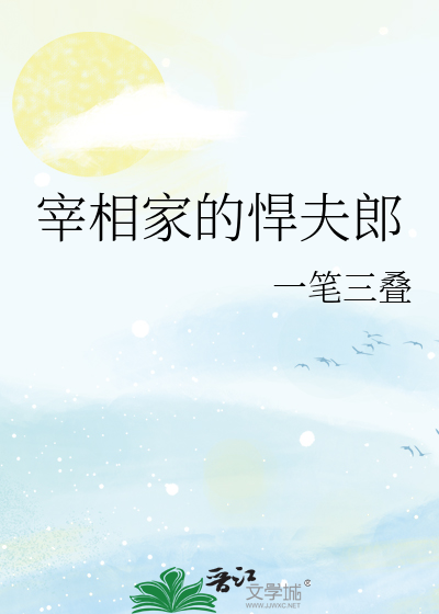 宰相的男妻 小说