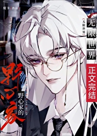 当野心家进入无限世界笔趣阁