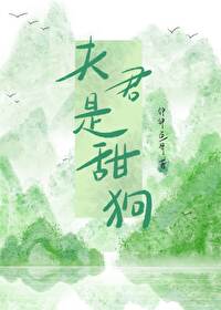 夫君是男宠