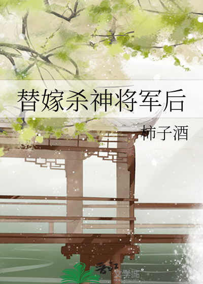 替嫁将军小说解读