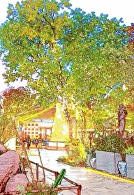 教授慢点能不能帮我