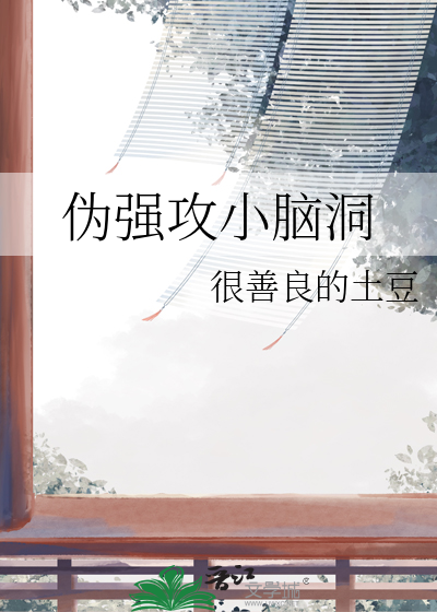 伪攻啥意思