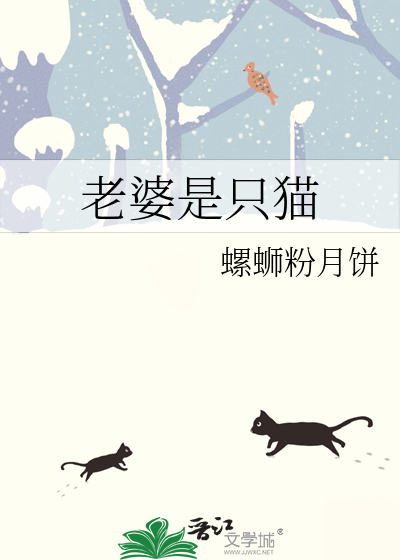 老婆是只猫猫
