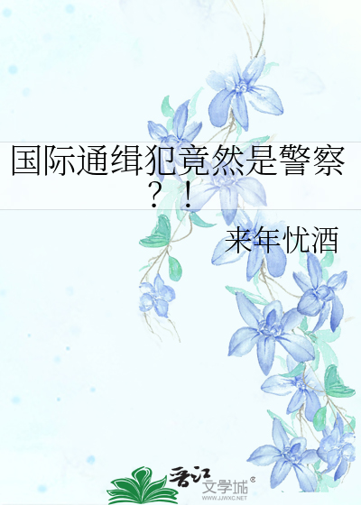 国际通缉令最高级别