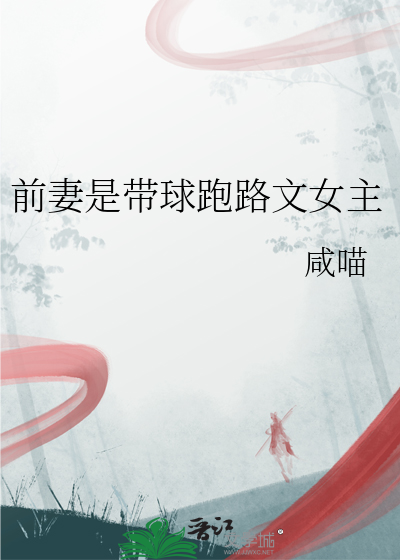 前妻带球跑的小说